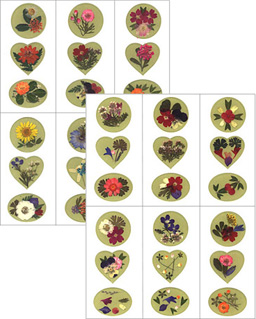 �����|�C���g�ɉ��ԃV�[�����ǂ����B�����Ɖ�b�ɂ��Ԃ��炫�܂�