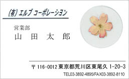 ���ЃI���W�i���̉��Ԗ��h�ł��B�{���̉Ԃ��g���Ă܂�