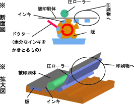 ���ł̌����B�O���r�A����Ȃǂ�����ɂ�����܂�